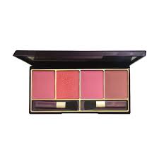 Picture of a face blush pallet to show and describe what a face blush looks like.